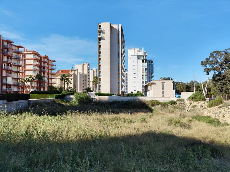 Terrain à vendre dans Guardamar del Segura, Alicante
