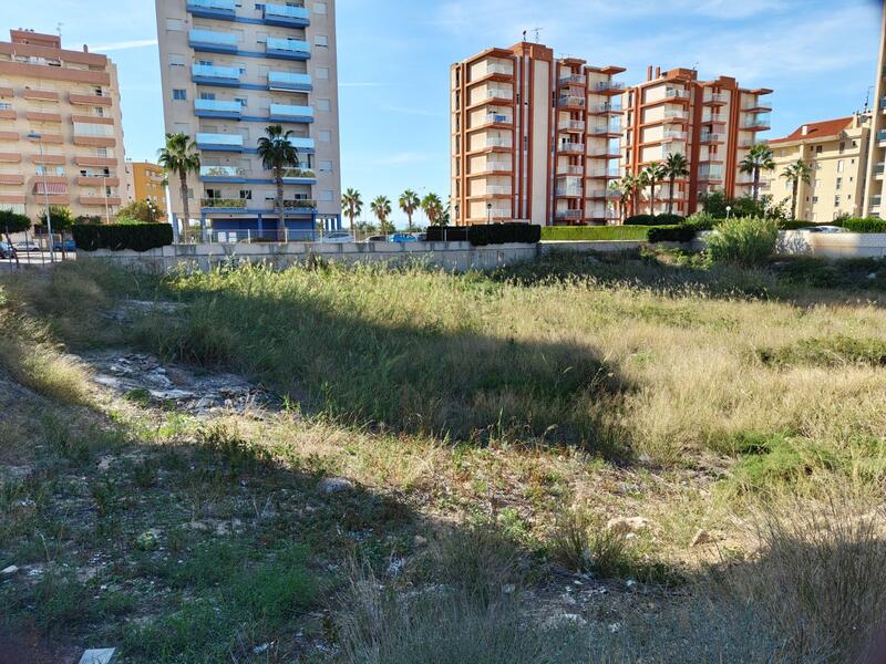 1 bedroom Land for sale