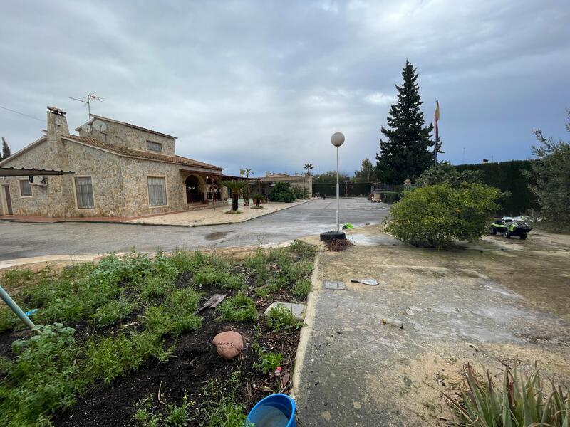 Villa à vendre dans Elx/Elche, Alicante