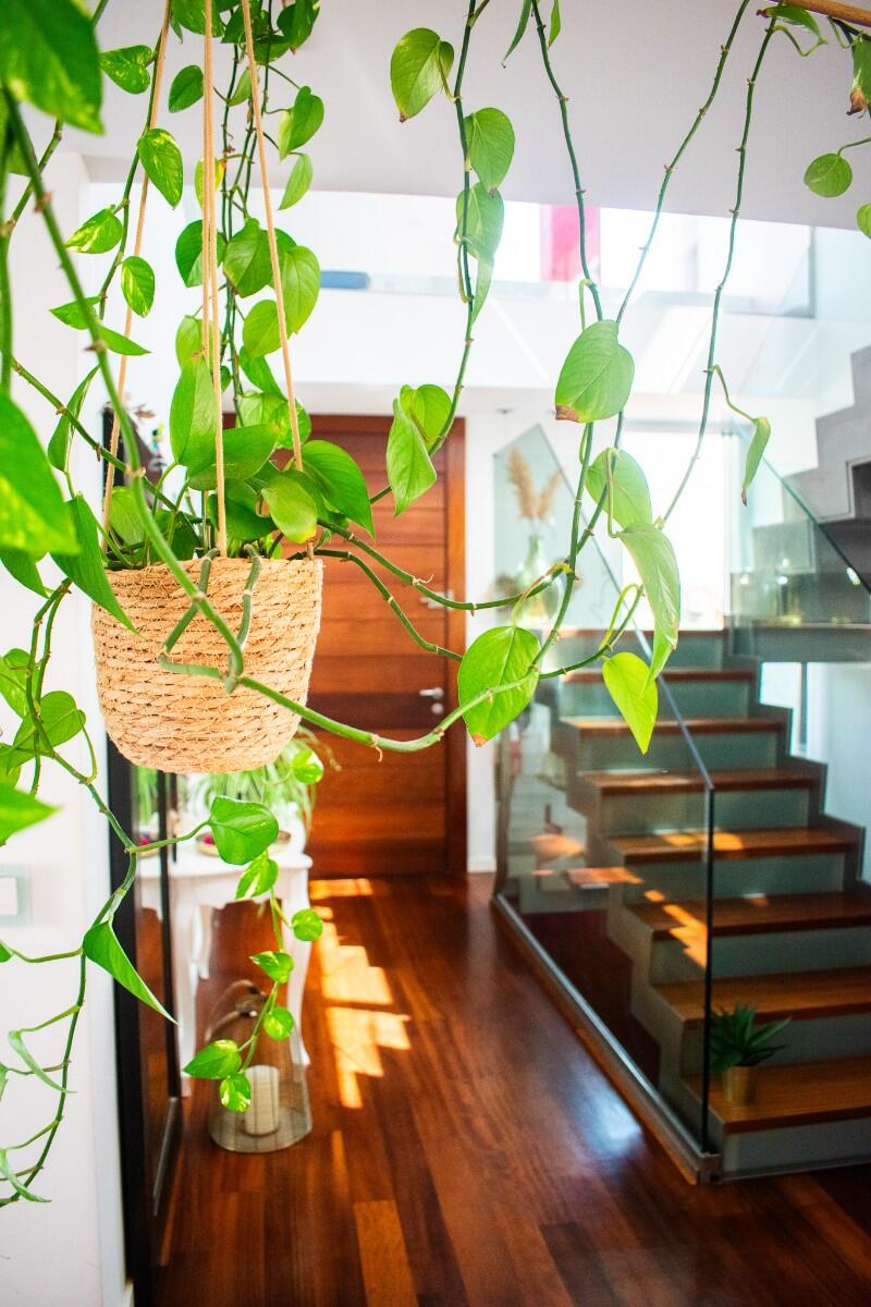 5 slaapkamer Villa Te koop