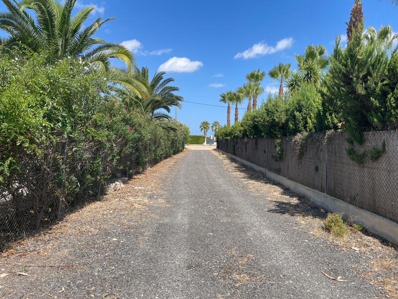Auberge à vendre dans Benejuzar, Alicante