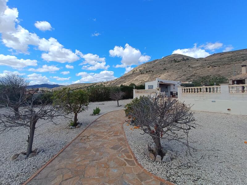 3 chambre Villa à vendre