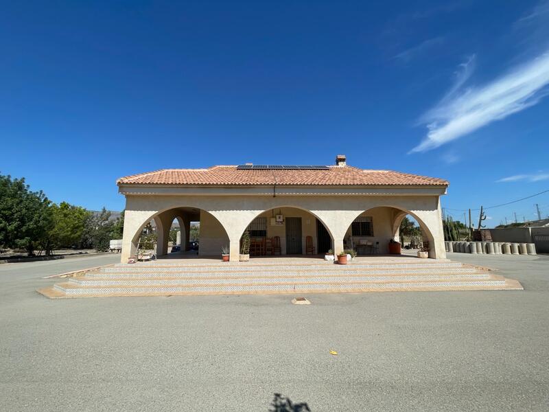 Villa for sale in Crevillent, Alicante
