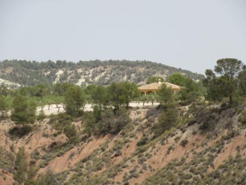 Commercial Property for sale