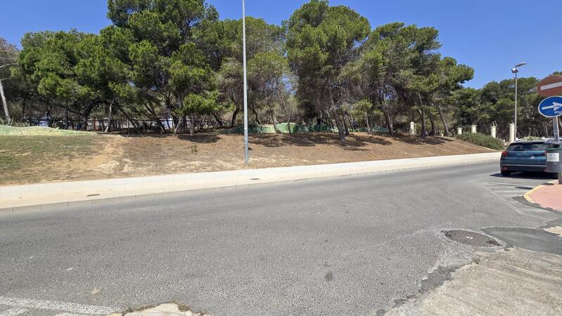 1 Cuarto Terrenos en venta