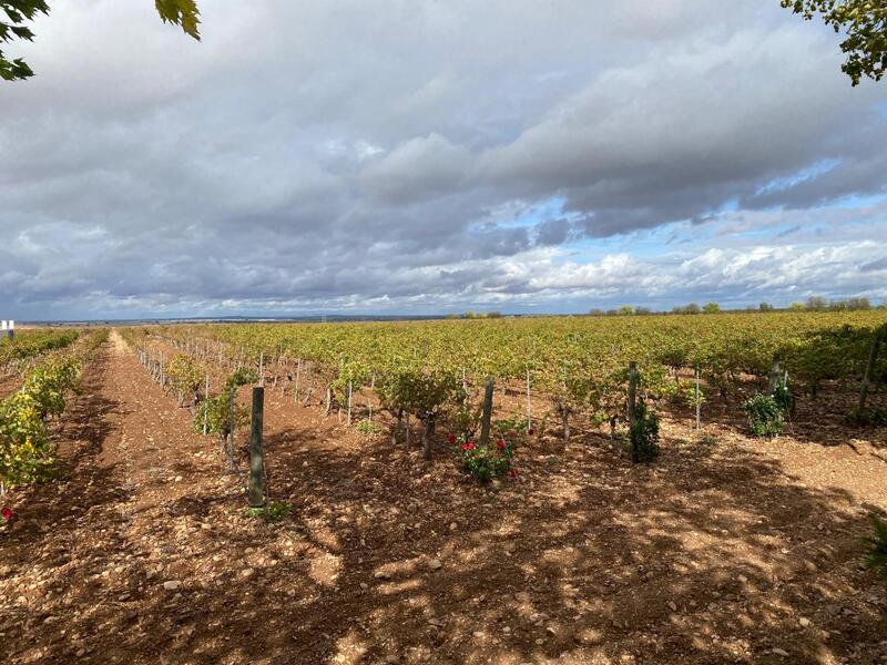 1 bedroom Commercial Property for sale 1 bedroom Commercial Property for sale