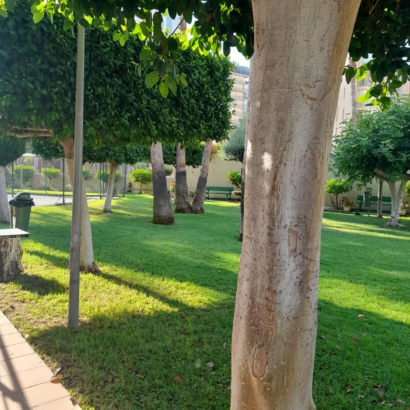 1 soveværelse Lejlighed til salg 1 soveværelse Lejlighed til salg