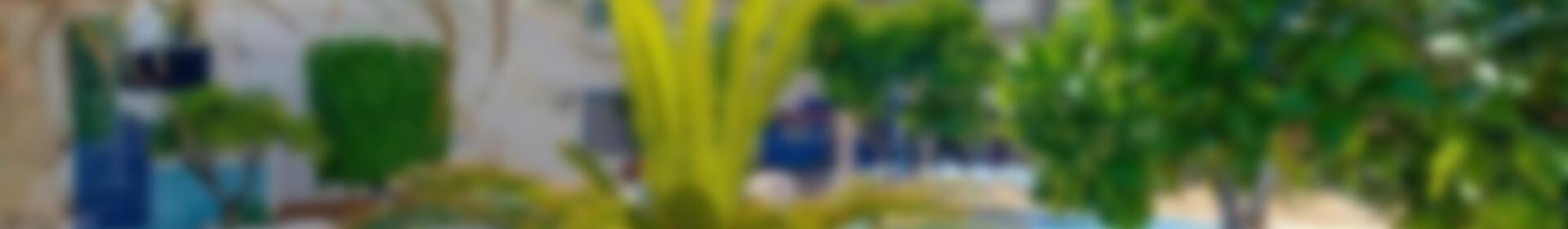 2 slaapkamer Commercieel vastgoed Te koop