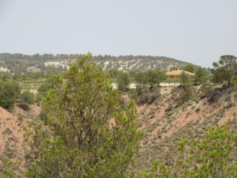 Commercial Property for sale