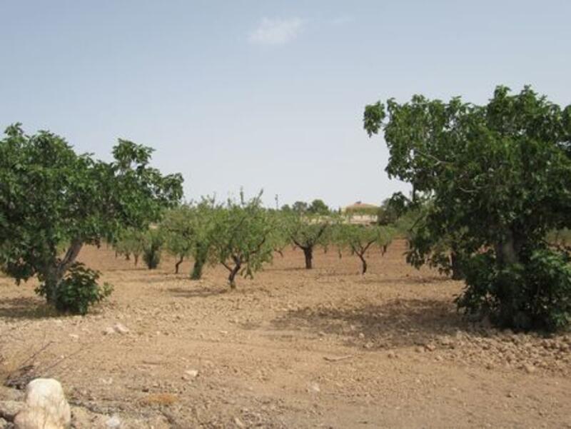 Commercial Property for sale