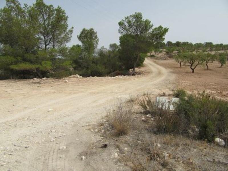 Commercial Property for sale