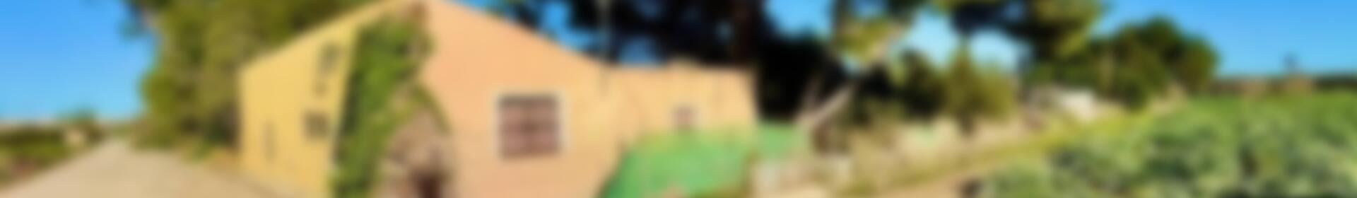 4 soveværelse Landsted til salg