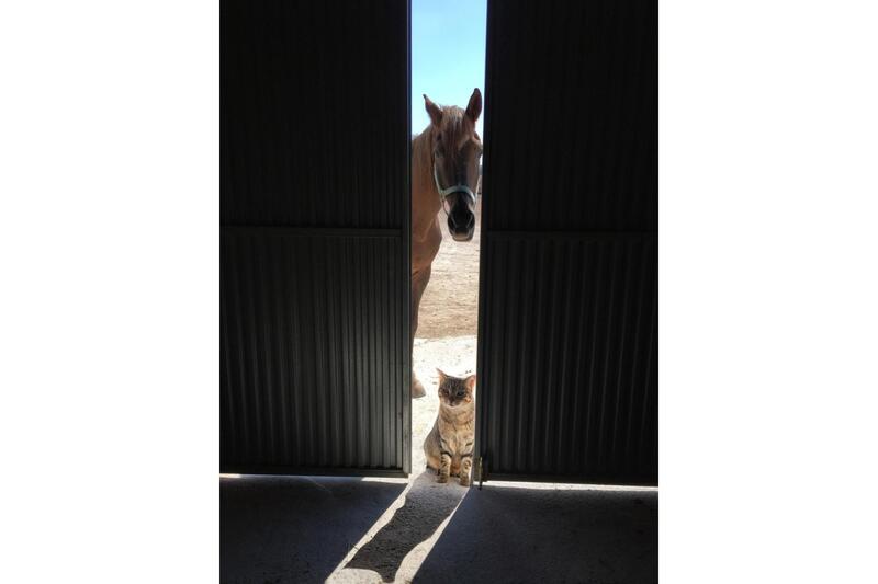 3 bedroom Country House for sale 3 bedroom Country House for sale