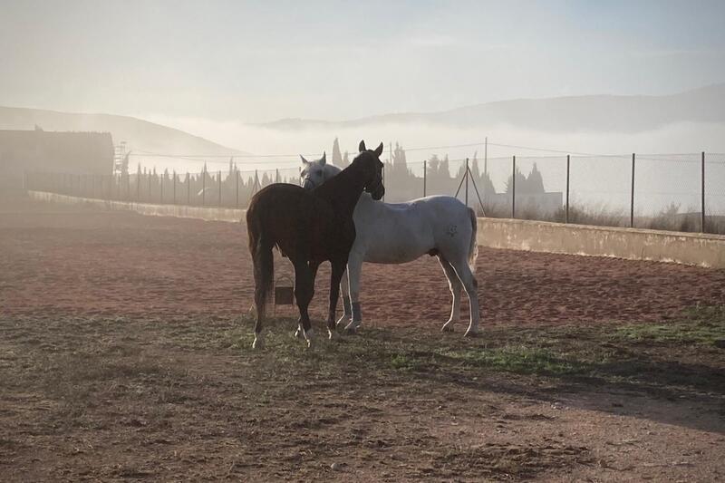 3 bedroom Country House for sale 3 bedroom Country House for sale