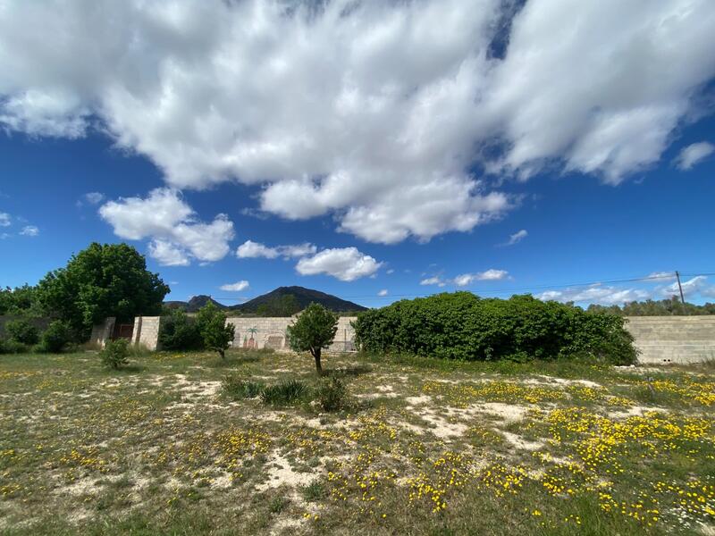 6 slaapkamer Landhuis Te koop 6 slaapkamer Landhuis Te koop