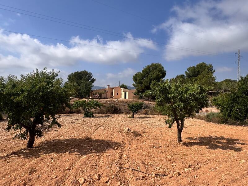 3 bedroom Villa for sale 3 bedroom Villa for sale