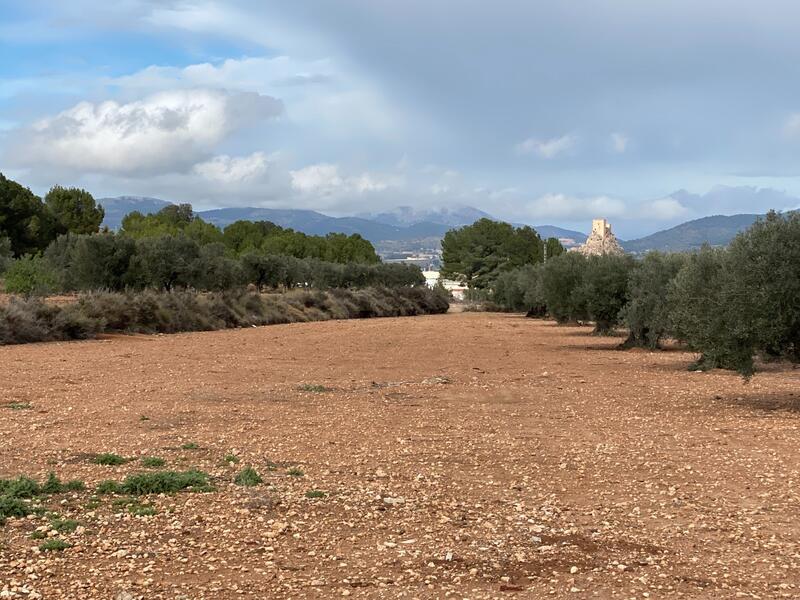 2 bedroom Country House for sale 2 bedroom Country House for sale