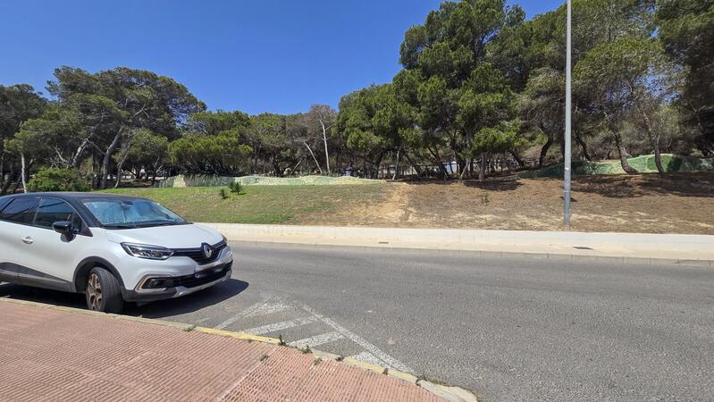 1 bedroom Land for sale 1 bedroom Land for sale