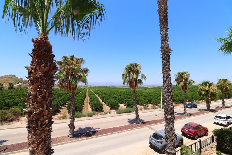 3 chambre Villa à vendre 3 chambre Villa à vendre