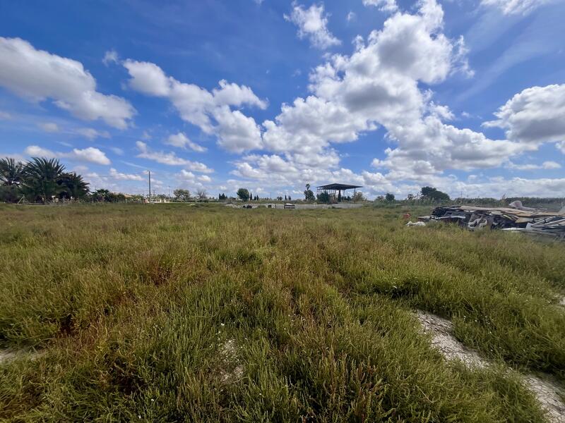 Land for sale in Catral, Alicante Land for sale in Catral, Alicante