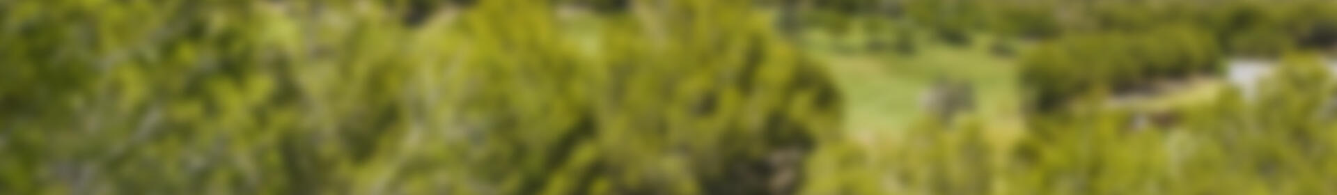 3 slaapkamer Villa Te koop