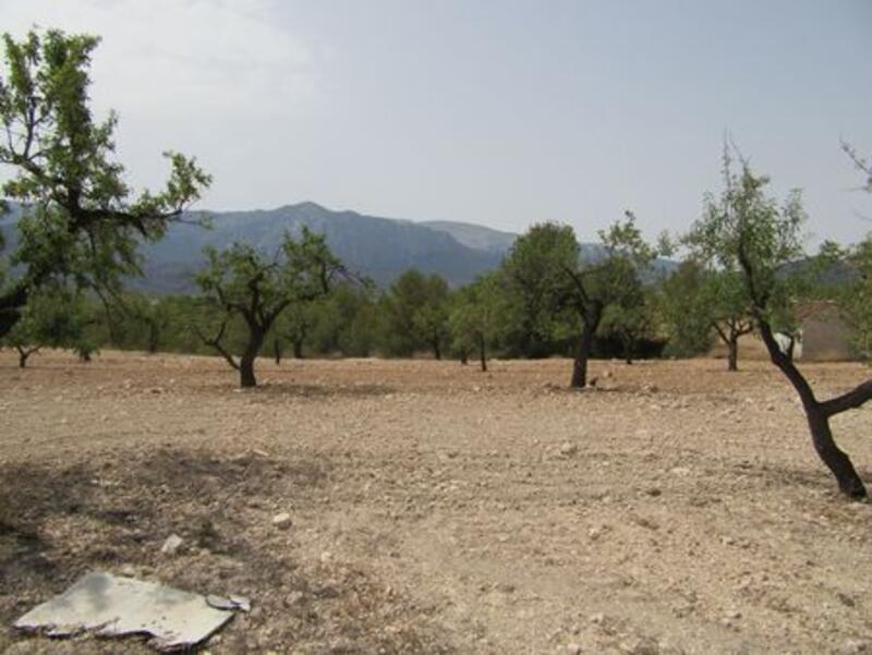 Terrain à vendre Terrain à vendre