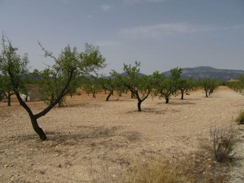Terrain à vendre Terrain à vendre