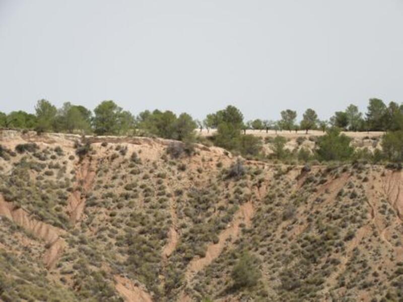 Terrain à vendre Terrain à vendre