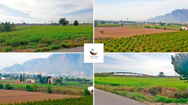 1 bedroom Country House for sale 1 bedroom Country House for sale