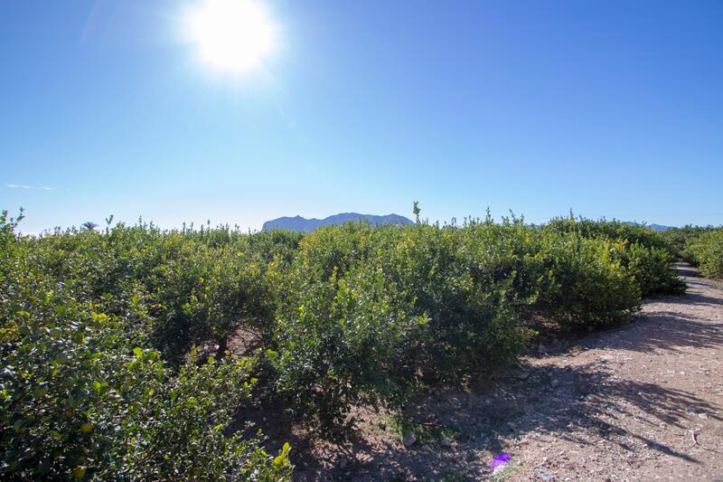 4 soveværelse Landsted til salg