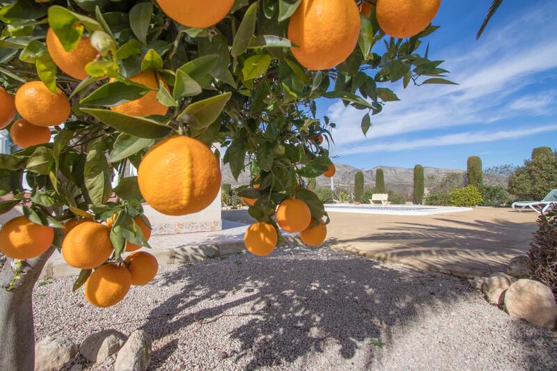 2 soveværelse Landsted til salg