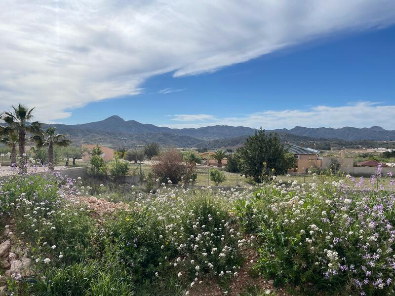 3 Schlafzimmer Villa zu verkaufen