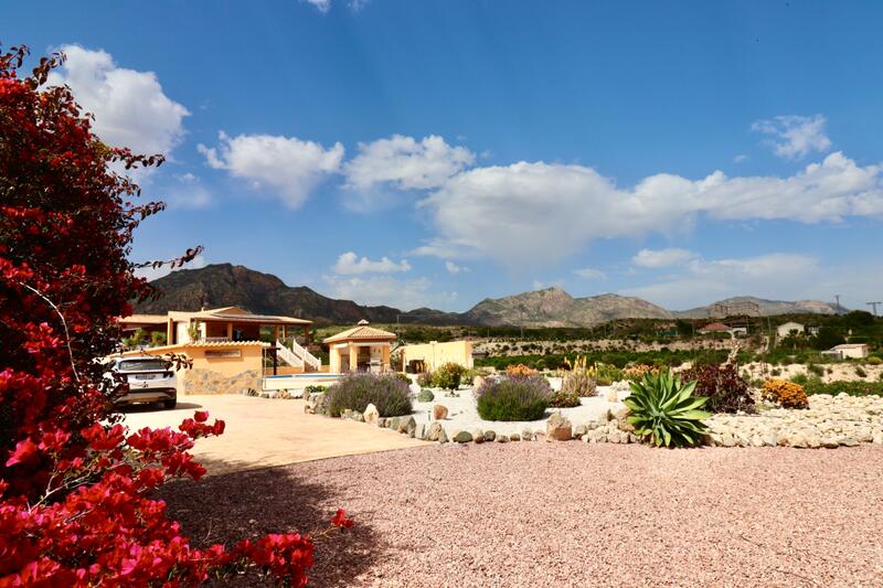 Auberge à vendre dans Albatera, Alicante