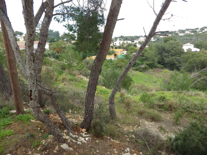 Terrain à vendre dans Javea, Alicante