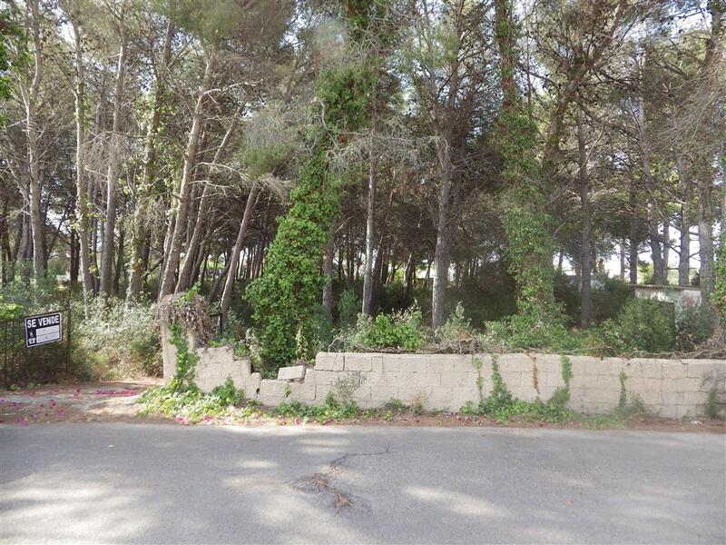 Land for sale in Javea, Alicante