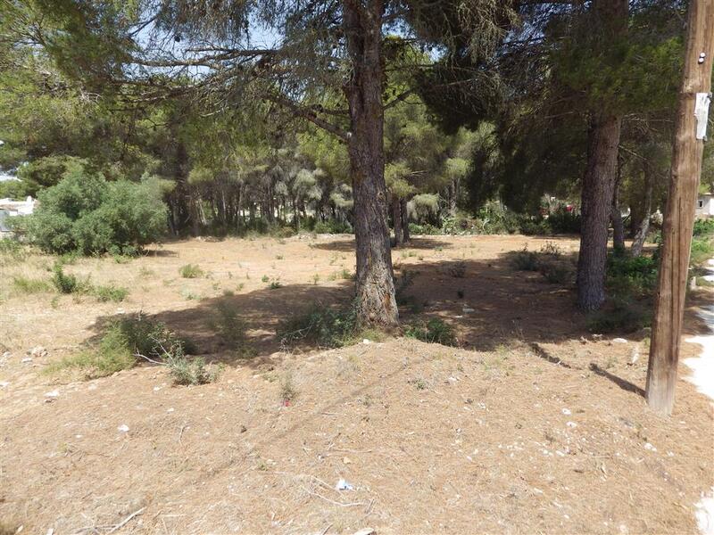 Land for sale