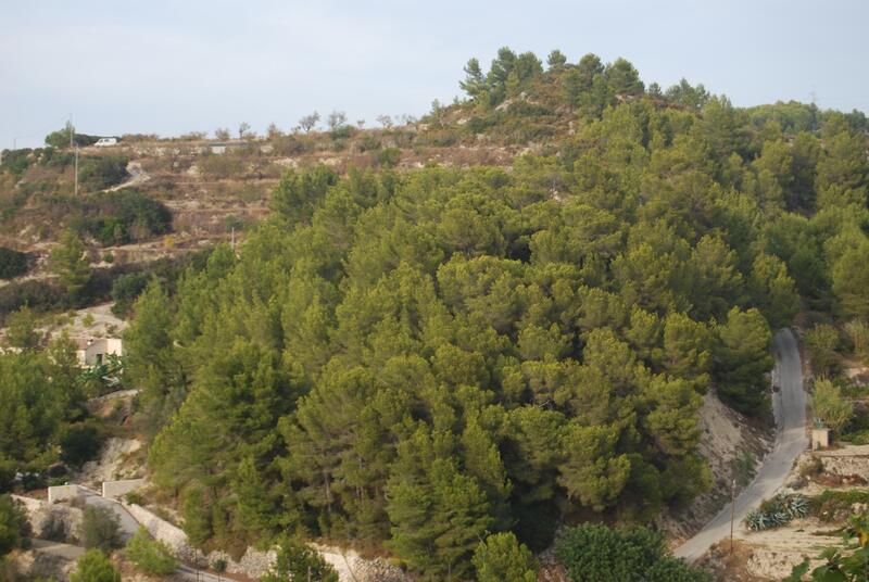 Land for sale in Benissa, Alicante