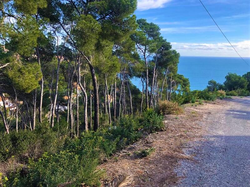 Terrain à vendre dans Javea, Alicante