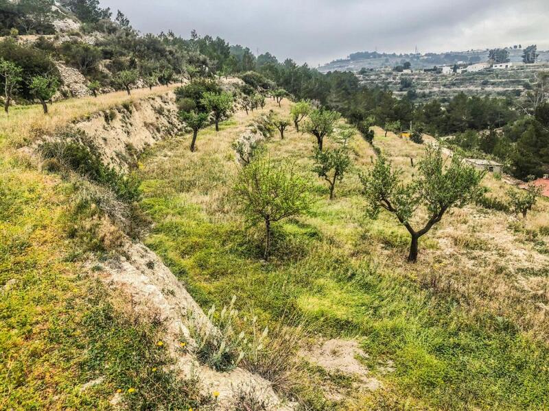 Terrenos en venta