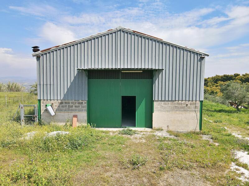 Local Commercial à vendre