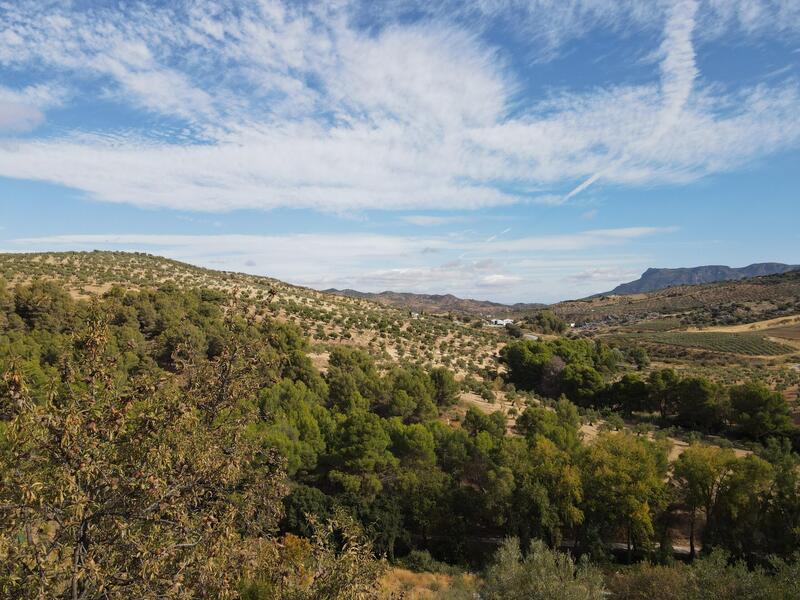3 bedroom Country House for sale