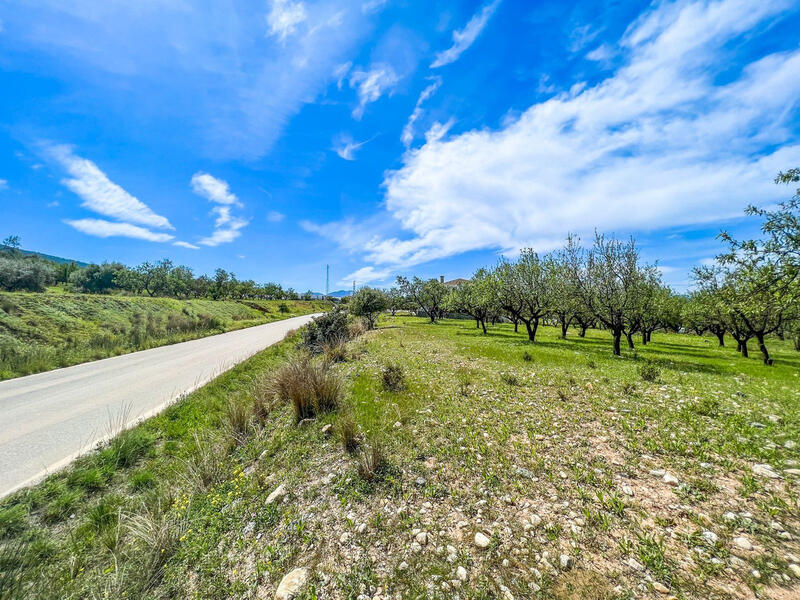 Terrain à vendre dans Alhaurin el Grande, Málaga