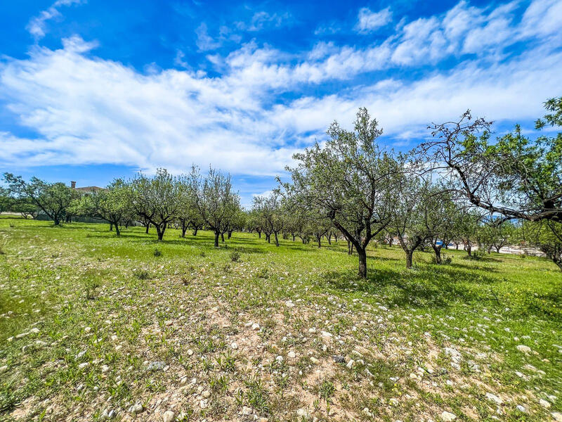 Terrenos en venta