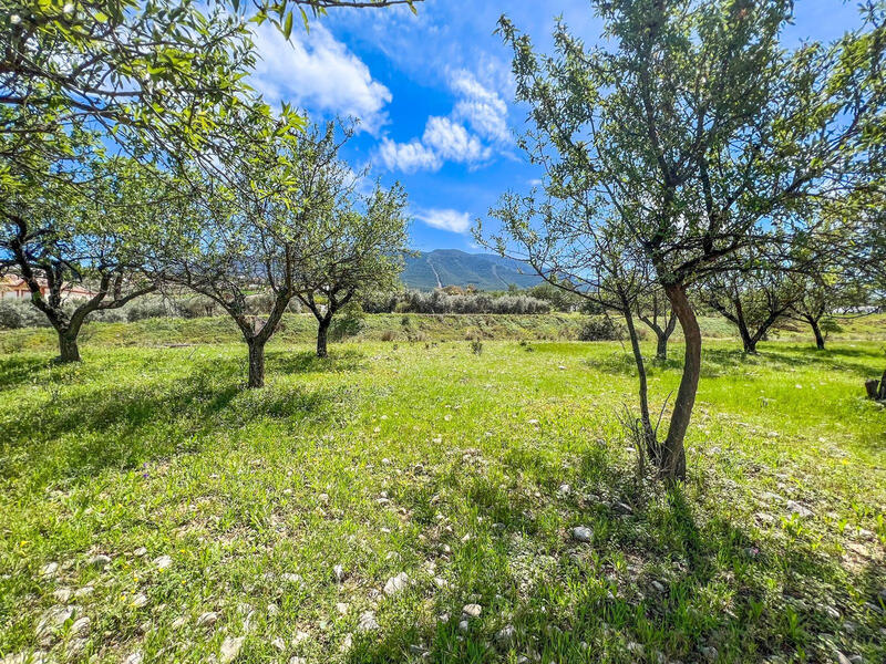 Terrain à vendre