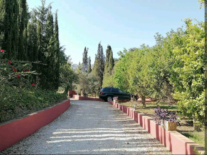 3 Cuarto Casa de Campo en venta