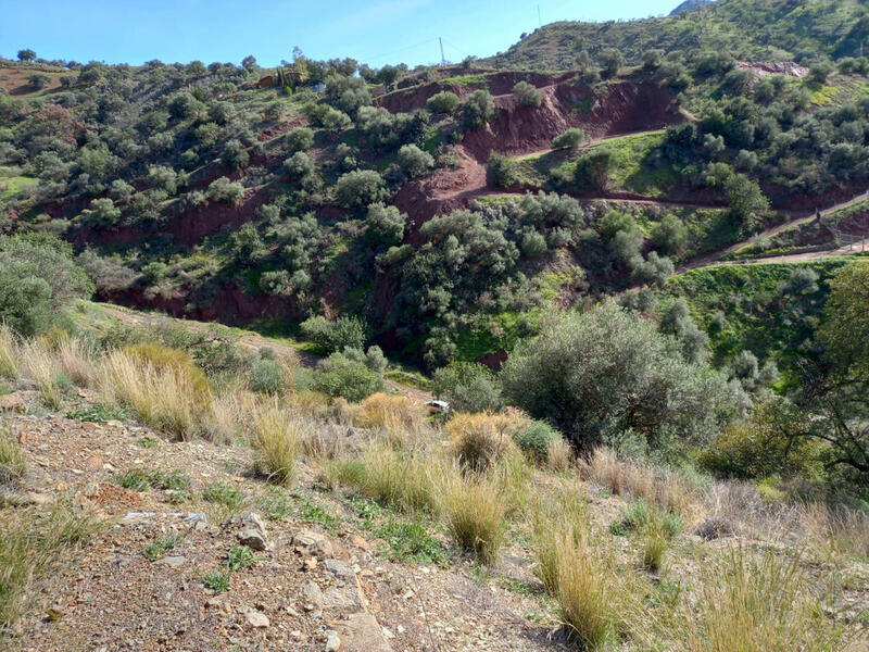 Land for sale