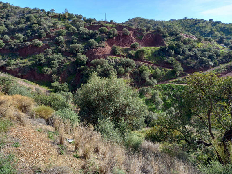 Land for sale