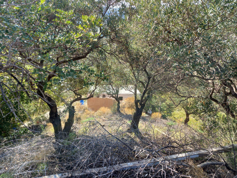 Land for sale