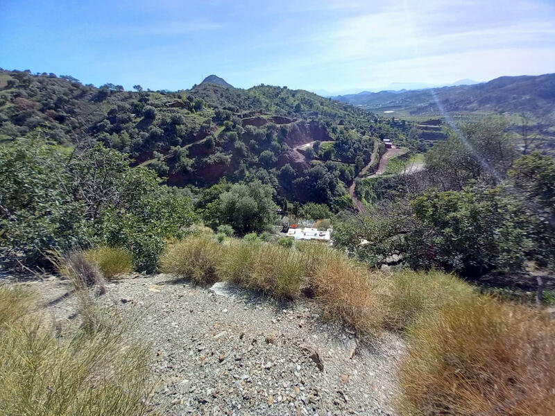 Land for sale