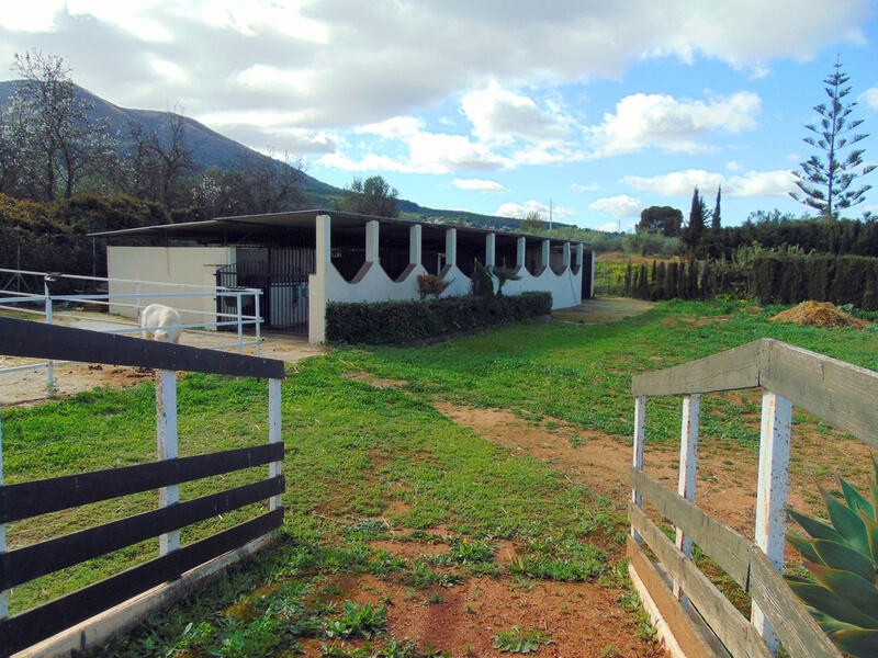 5 Cuarto Casa de Campo en venta